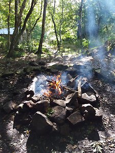 Ecological Practice. Fire