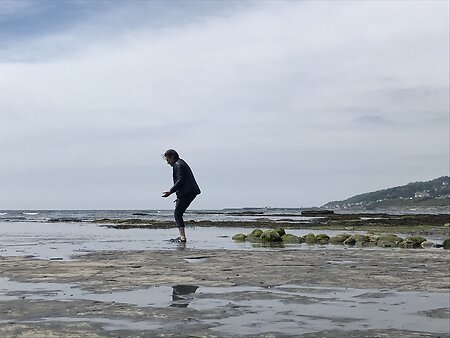 Ecological Movement. Me-moving