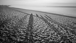 Ecological Practice. people shadow on beach