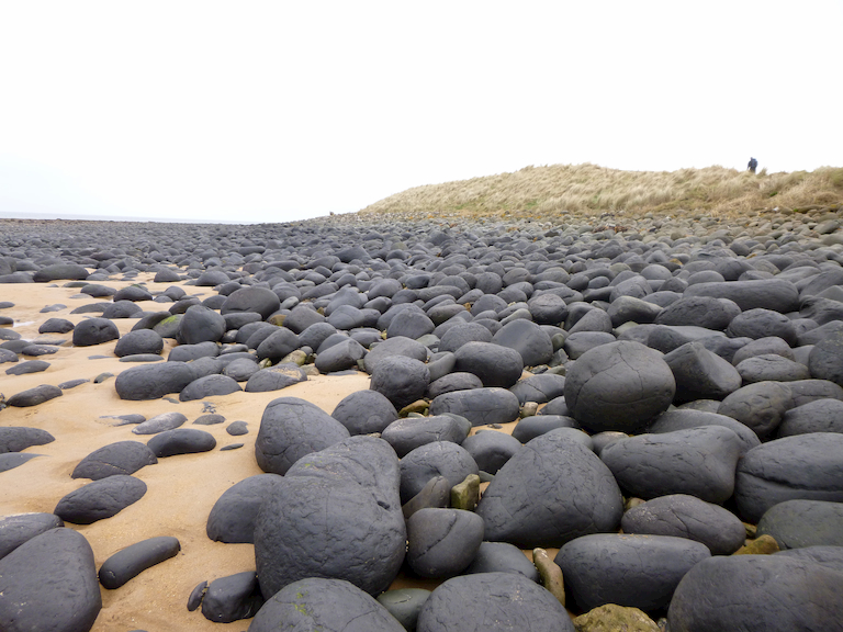 Welcome. stones-beach-fw